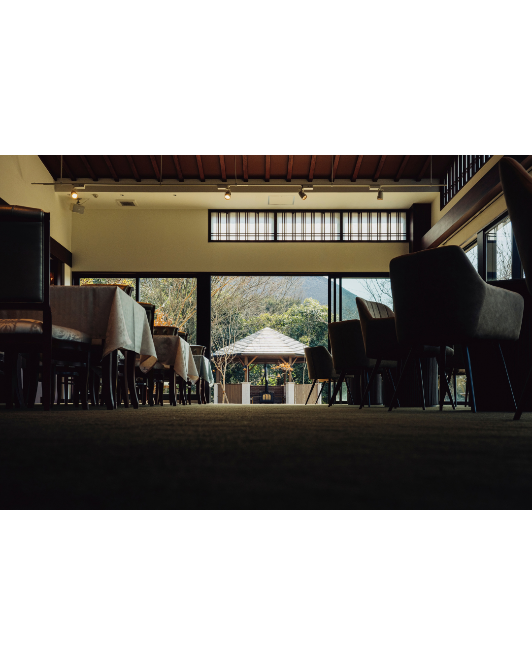 ギャラリー写真 15